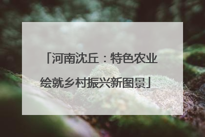 河南沈丘：特色农业绘就乡村振兴新图景